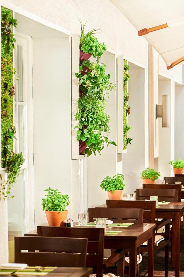 متنزه حياة هامبورغ المظهر الخارجي الصورة A living wall in a home